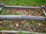 image of grave number 111457